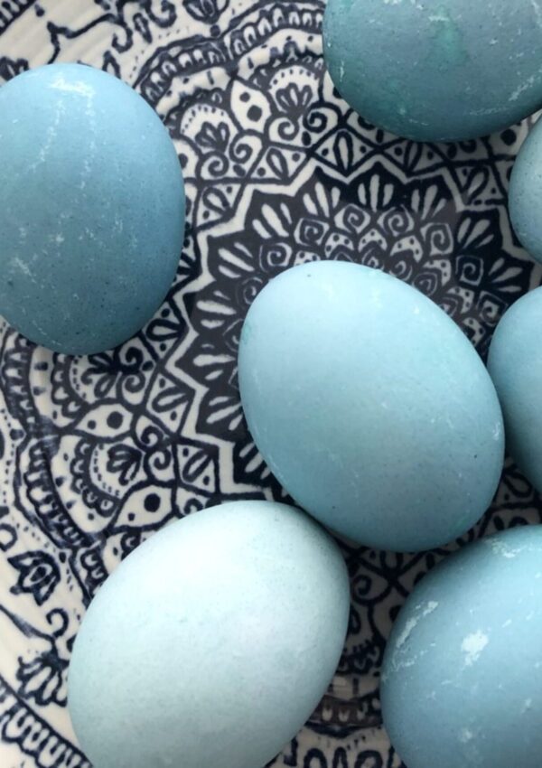A Blue Egg Inspired, Easter Dinner for Two